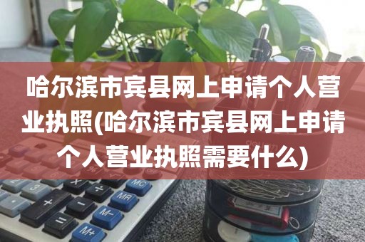 哈尔滨市宾县网上申请个人营业执照(哈尔滨市宾县网上申请个人营业执照需要什么)