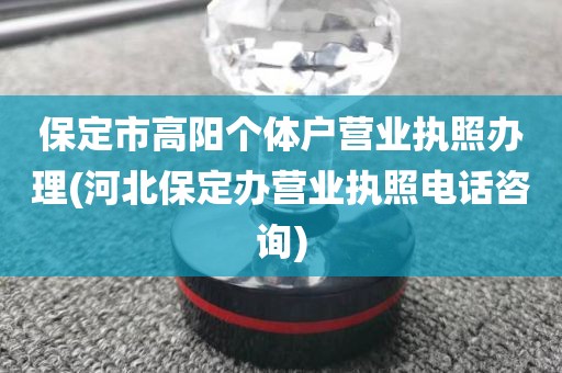 保定市高阳个体户营业执照办理(河北保定办营业执照电话咨询)