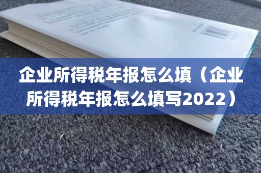 企业所得税年报怎么填（企业所得税年报怎么填写2022）