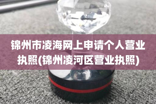 锦州市凌海网上申请个人营业执照(锦州凌河区营业执照)