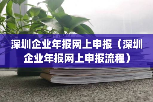 深圳企业年报网上申报（深圳企业年报网上申报流程）