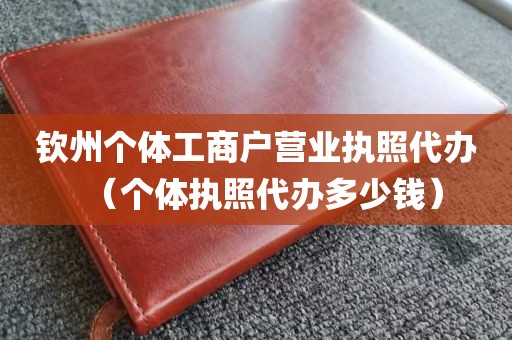 钦州个体工商户营业执照代办（个体执照代办多少钱）