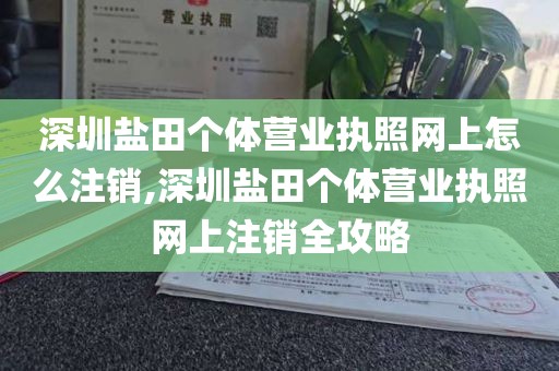 深圳盐田个体营业执照网上怎么注销,深圳盐田个体营业执照网上注销全攻略