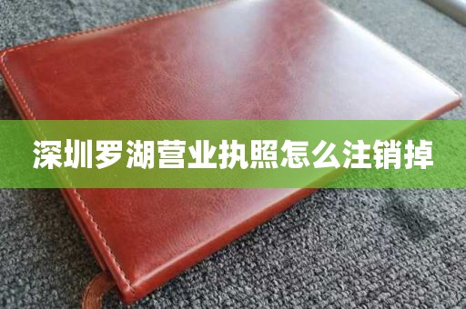 深圳罗湖营业执照怎么注销掉