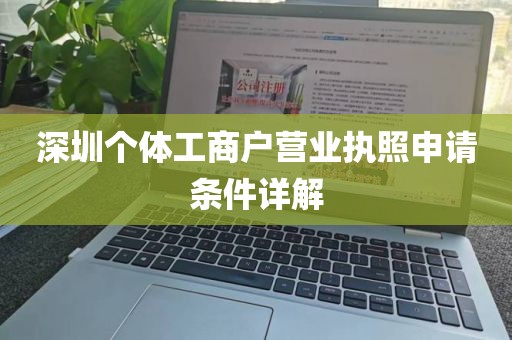 深圳个体工商户营业执照申请条件详解