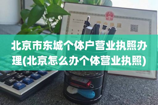 北京市东城个体户营业执照办理(北京怎么办个体营业执照)