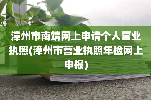 漳州市南靖网上申请个人营业执照(漳州市营业执照年检网上申报)
