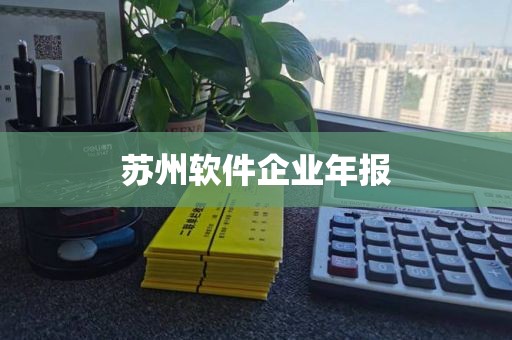 苏州软件企业年报