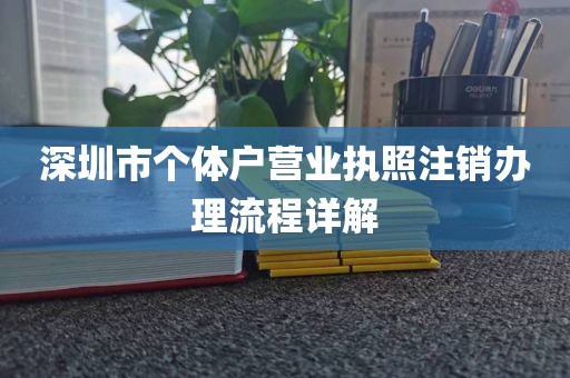 深圳市个体户营业执照注销办理流程详解