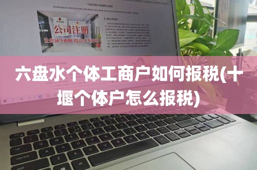 六盘水个体工商户如何报税(十堰个体户怎么报税)