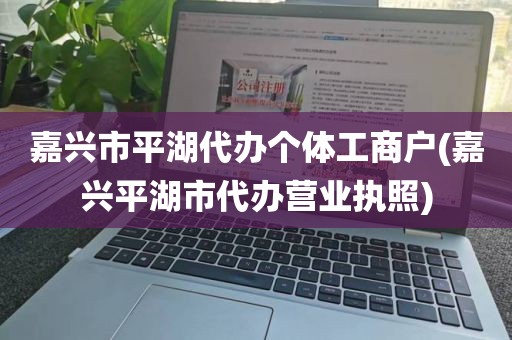 嘉兴市平湖代办个体工商户(嘉兴平湖市代办营业执照)