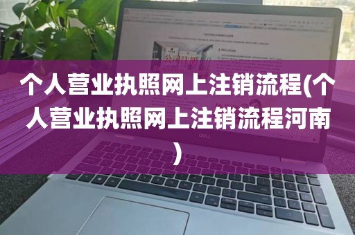 个人营业执照网上注销流程(个人营业执照网上注销流程河南)