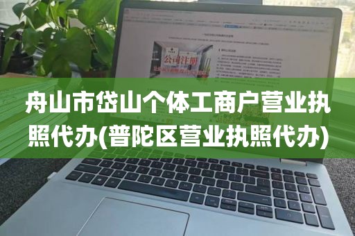 舟山市岱山个体工商户营业执照代办(普陀区营业执照代办)