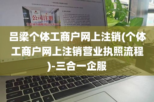吕梁个体工商户网上注销(个体工商户网上注销营业执照流程)-三合一企服