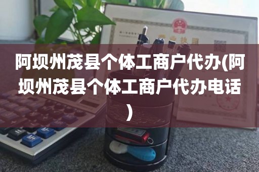 阿坝州茂县个体工商户代办(阿坝州茂县个体工商户代办电话)