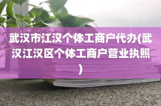 武汉市江汉个体工商户代办(武汉江汉区个体工商户营业执照)
