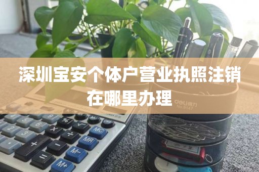 深圳宝安个体户营业执照注销在哪里办理