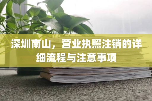 深圳南山，营业执照注销的详细流程与注意事项
