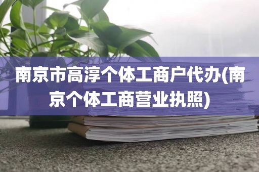 南京市高淳个体工商户代办(南京个体工商营业执照)