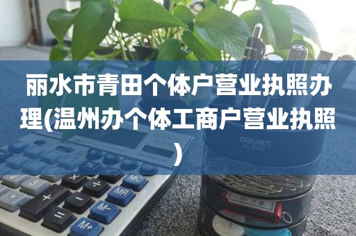 丽水市青田个体户营业执照办理(温州办个体工商户营业执照)