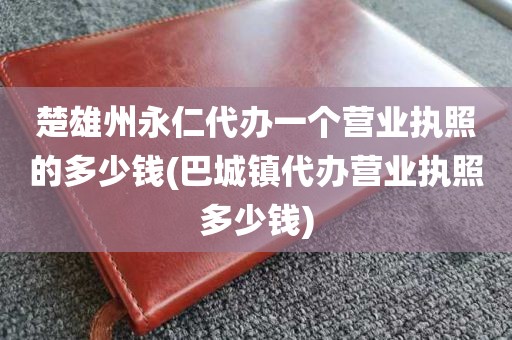 楚雄州永仁代办一个营业执照的多少钱(巴城镇代办营业执照多少钱)