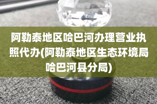 阿勒泰地区哈巴河办理营业执照代办(阿勒泰地区生态环境局哈巴河县分局)