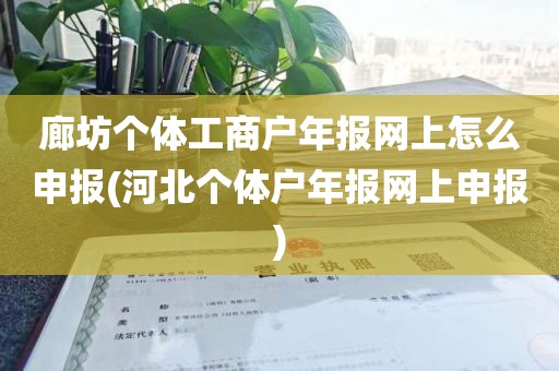 廊坊个体工商户年报网上怎么申报(河北个体户年报网上申报)