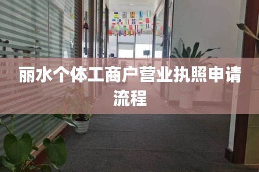 丽水个体工商户营业执照申请流程