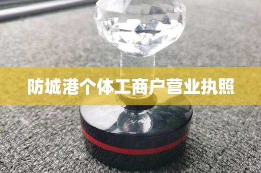 防城港个体工商户营业执照