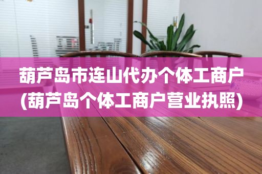 葫芦岛市连山代办个体工商户(葫芦岛个体工商户营业执照)