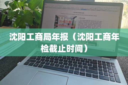 沈阳工商局年报（沈阳工商年检截止时间）