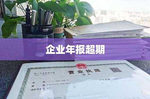 企业年报超期