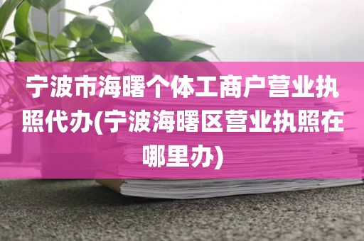 宁波市海曙个体工商户营业执照代办(宁波海曙区营业执照在哪里办)