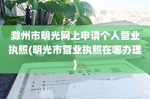 滁州市明光网上申请个人营业执照(明光市营业执照在哪办理)