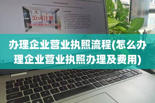 办理企业营业执照流程(怎么办理企业营业执照办理及费用)