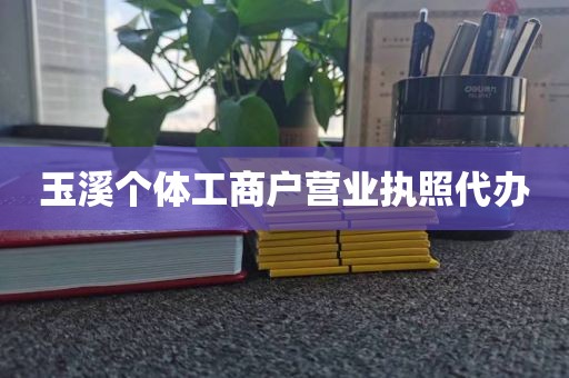 玉溪个体工商户营业执照代办