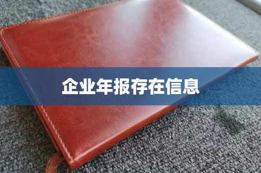 企业年报存在信息