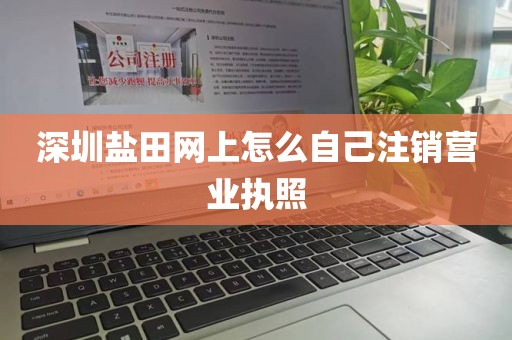 深圳盐田网上怎么自己注销营业执照