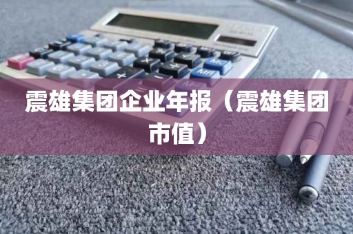 震雄集团企业年报（震雄集团市值）