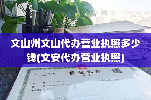 文山州文山代办营业执照多少钱(文安代办营业执照)