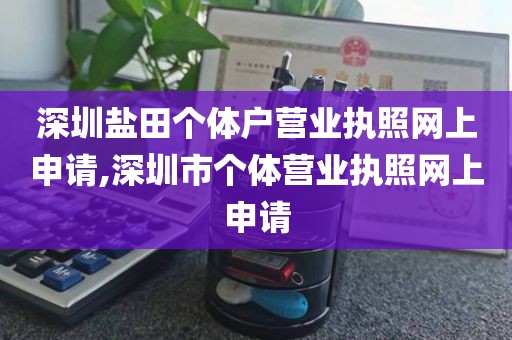 深圳盐田个体户营业执照网上申请,深圳市个体营业执照网上申请