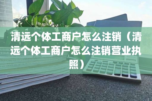 清远个体工商户怎么注销(清远个体工商户怎么注销营业执照)