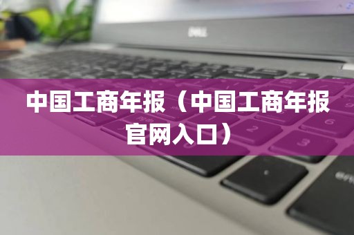 中国工商年报（中国工商年报官网入口）
