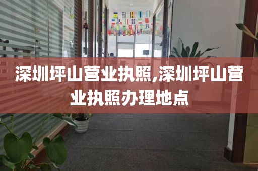 深圳坪山营业执照,深圳坪山营业执照办理地点