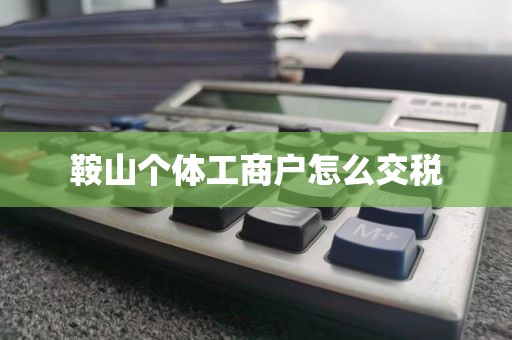 鞍山个体工商户怎么交税