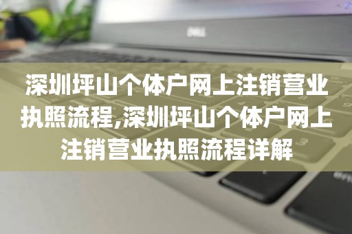 深圳坪山个体户网上注销营业执照流程,深圳坪山个体户网上注销营业执照流程详解