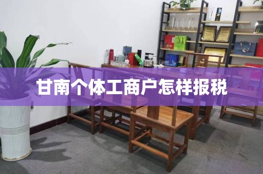 甘南个体工商户怎样报税
