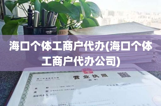 海口个体工商户代办(海口个体工商户代办公司)
