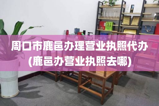 周口市鹿邑办理营业执照代办(鹿邑办营业执照去哪)