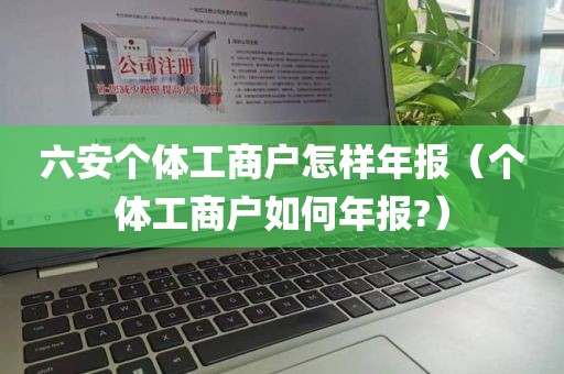 六安个体工商户怎样年报（个体工商户如何年报?）